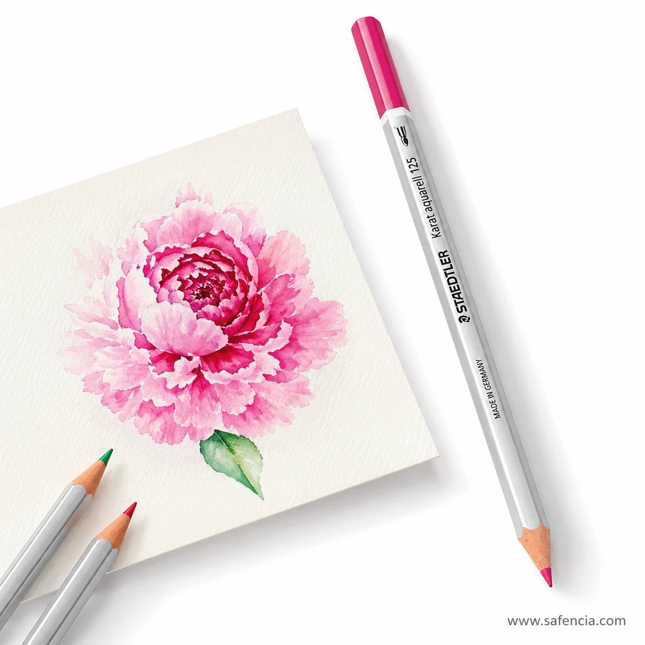 Staedtler Karat Aquarell pencil standing against a finished peony wash, showing how the pigment blends once water is applied