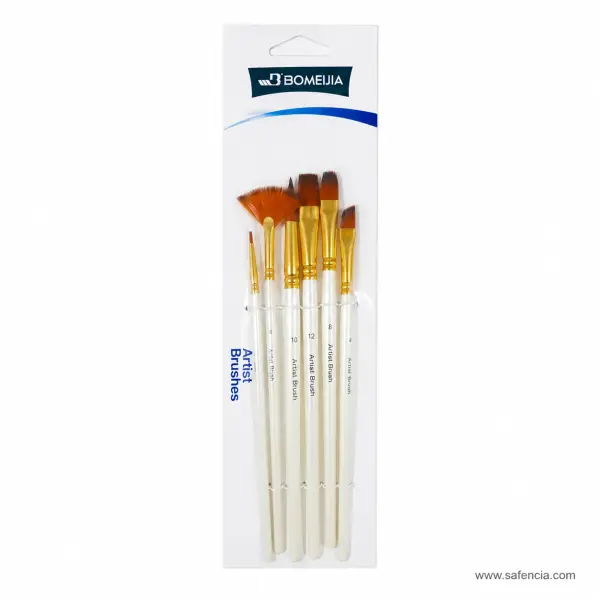 Bomeijia Artist Brush Set 6 Pieces Mixed Shapes