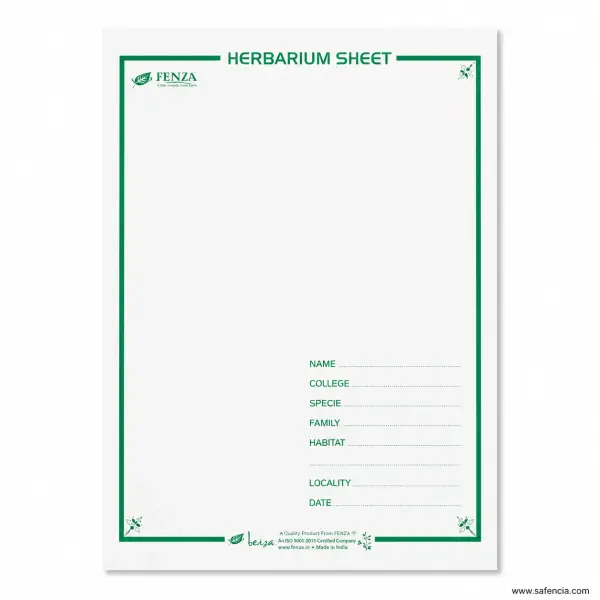FENZA Professional Botanical Herbarium Mounting Sheets (Pack of 10)