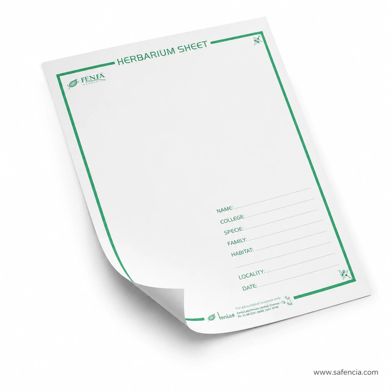 Corner curl view highlighting heavyweight 250gsm cardstock of herbarium sheet