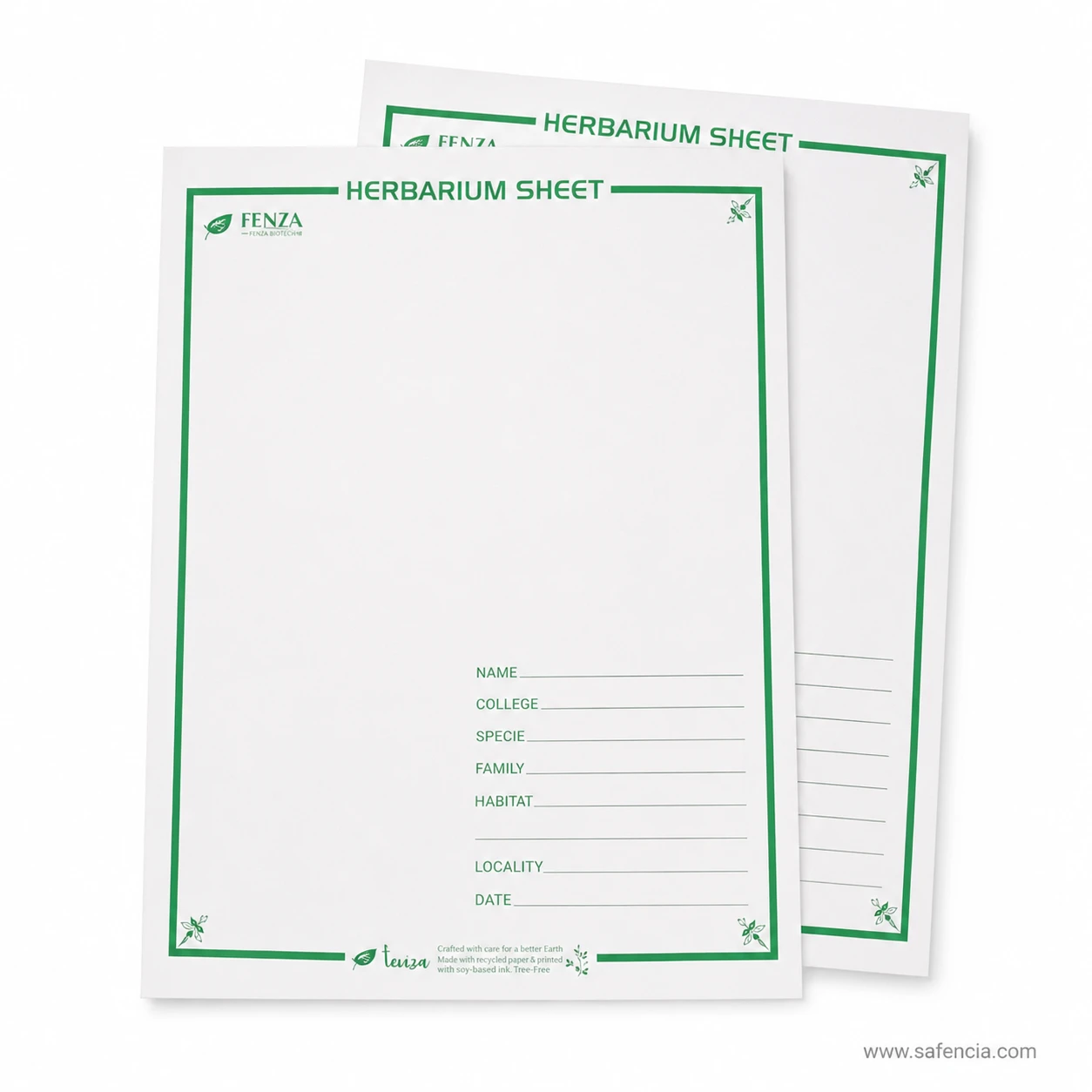 Paired layout of FENZA acid-free botanical herbarium mounting card sheets