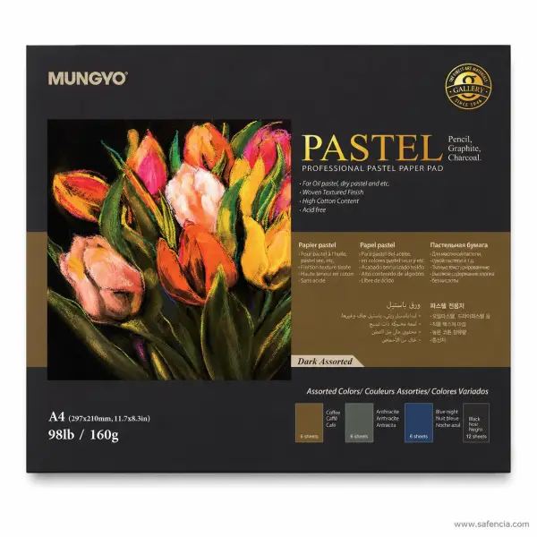 Mungyo Gallery Professional Pastel Paper Pad Dark Assorted 160gsm