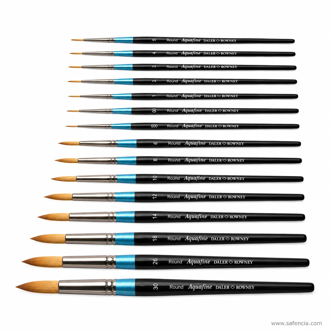 Close view of the points and nickel ferrules on Aquafine round brushes