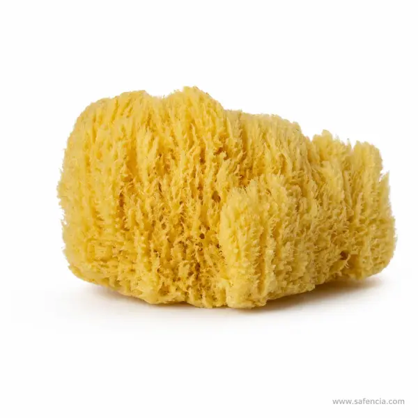 Daler-Rowney Artists' Natural Sponge Single Piece