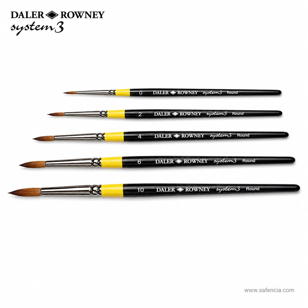 System 3 round brushes laid horizontally as a size guide