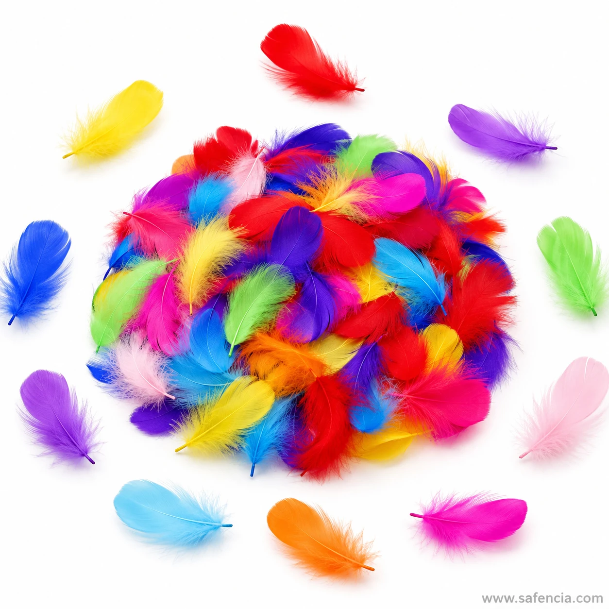 Dyed barbs and colour detail on medium fancy craft feathers