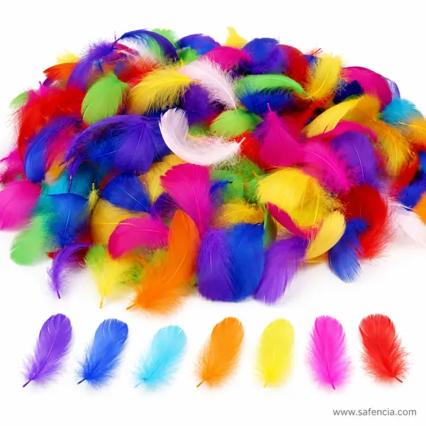 Fancy Craft Feathers Multicolour Pack of 20