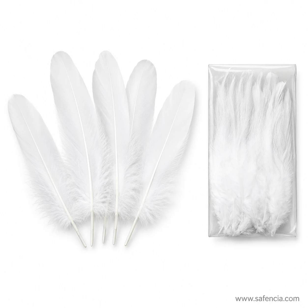 Loose bunch of white craft feathers beside the sealed pack