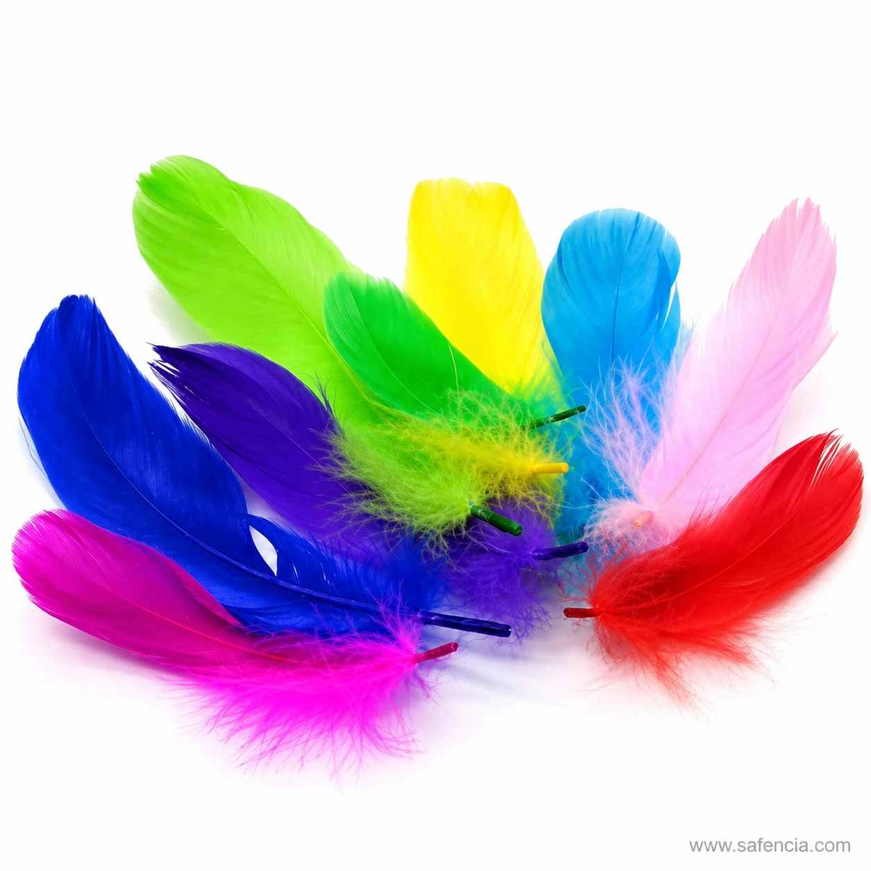 Bright dyed shades across a spread of small craft feathers