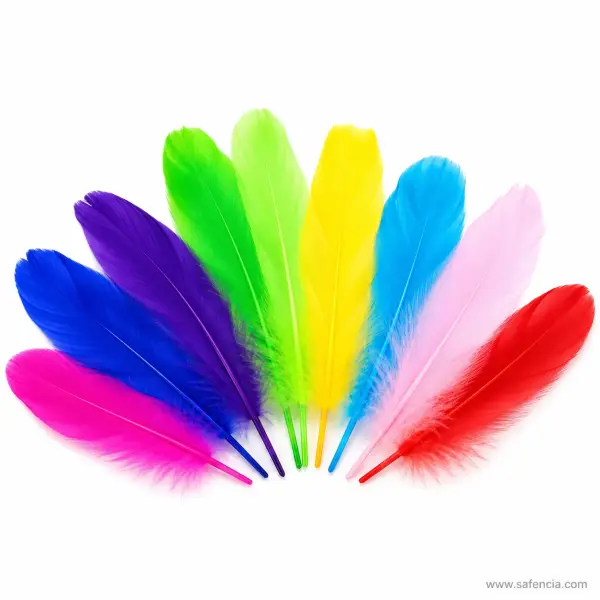 Small Craft Feathers Packet Mixed Colours