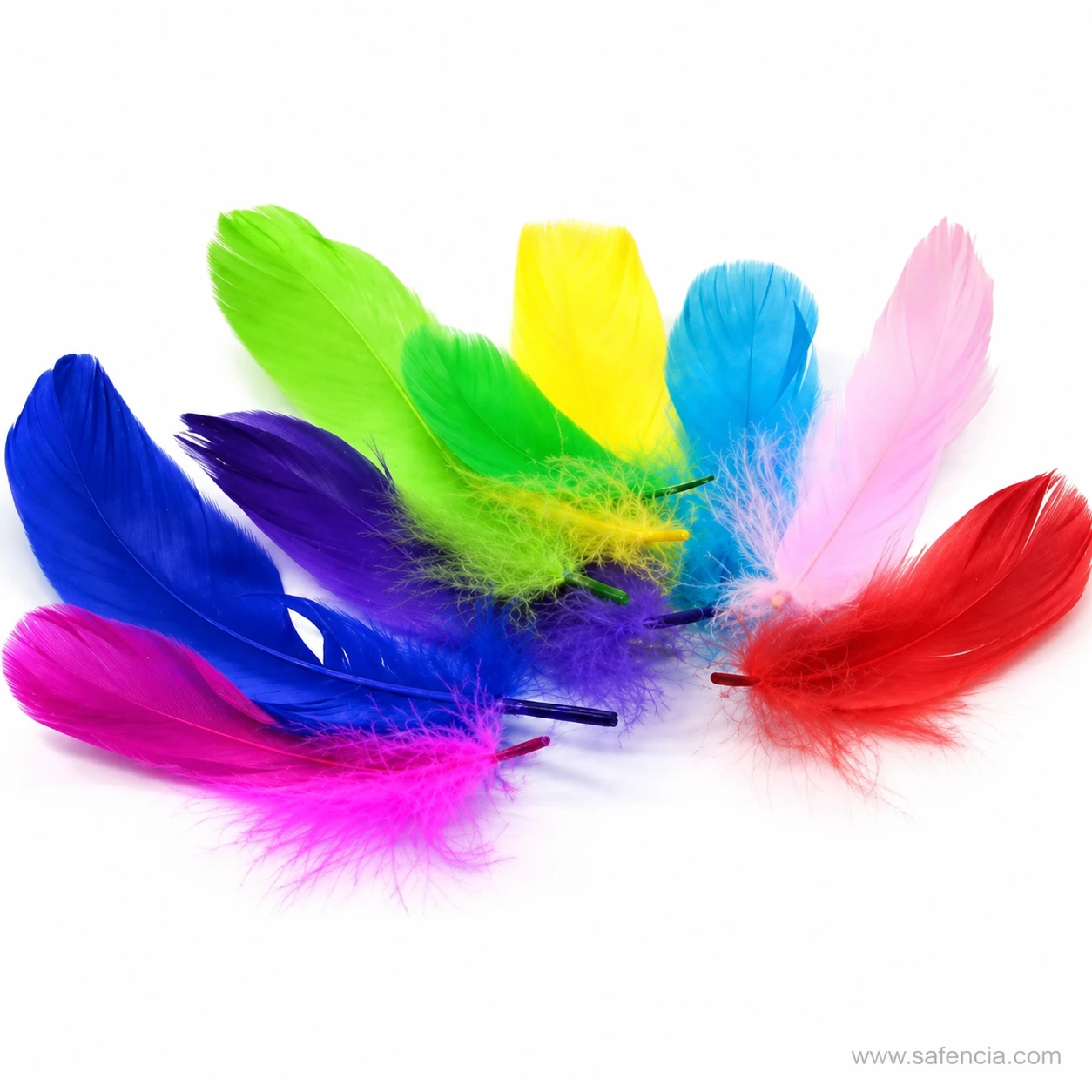 Short length and quill stubs on small bright craft feathers