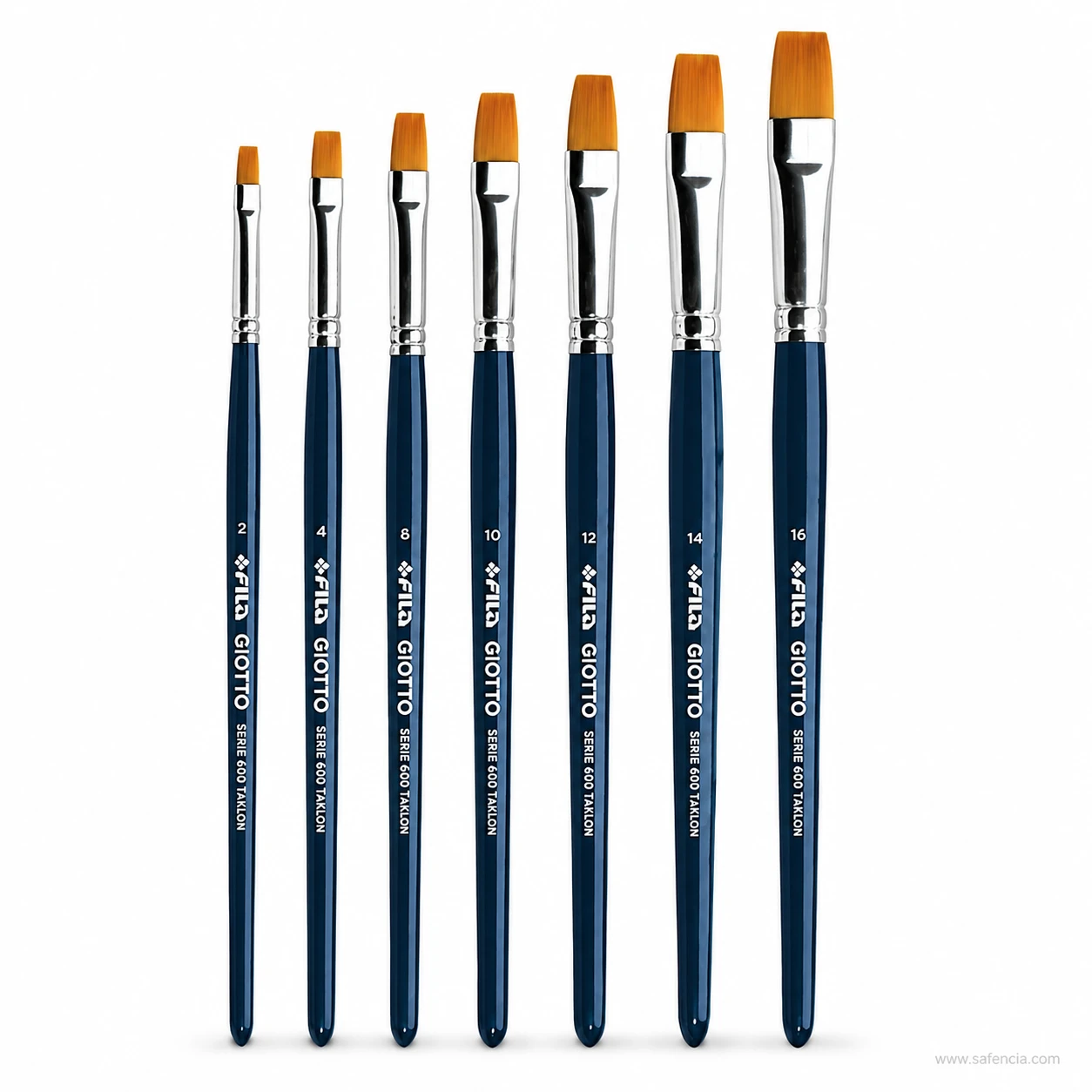 Several Giotto Serie 600 flat brushes standing upright in size order