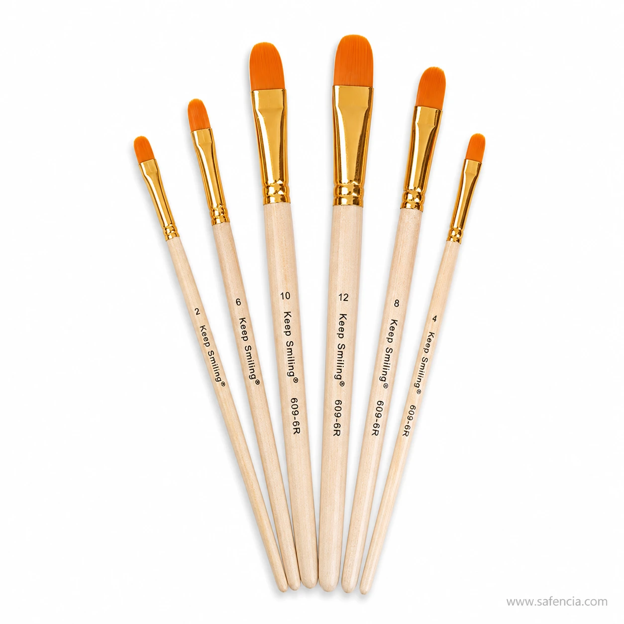 Keep Smiling flat brush set of 6 fanned out showing gold ferrules