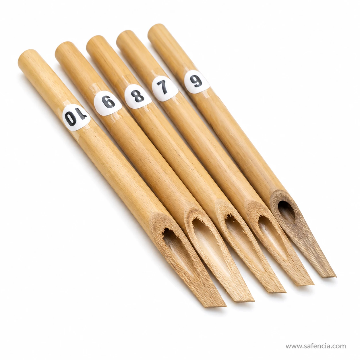The numbered khatati qalams laid in a fan showing near-cylindrical bamboo barrels and their angled cut nibs