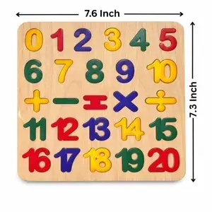 Montessori Colorful Acrylic Puzzle Boards