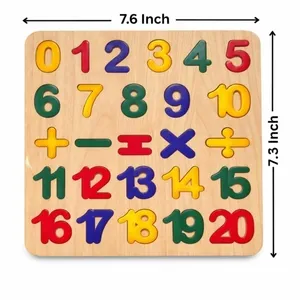 Montessori Colorful Acrylic Puzzle Boards