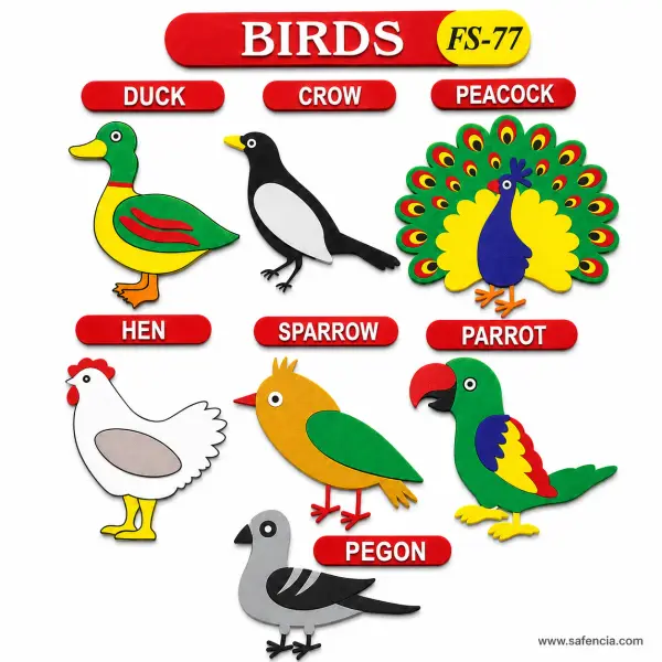 Birds Foam Wall Set (FS-77, Seven Birds With Name Plaques)