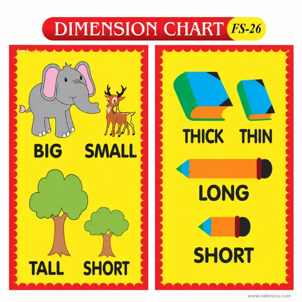Dimension Chart Foam Wall Set (FS-26, Four Opposite Pairs)