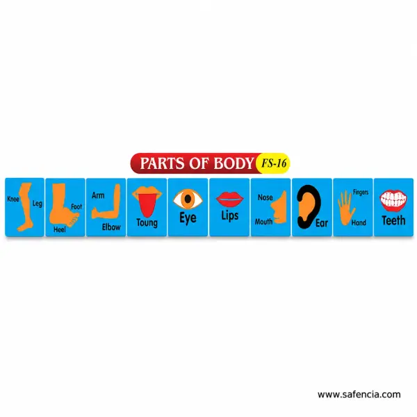 Parts of Body Tiles Foam Wall Set (FS-16, Ten Close-Up Tiles)