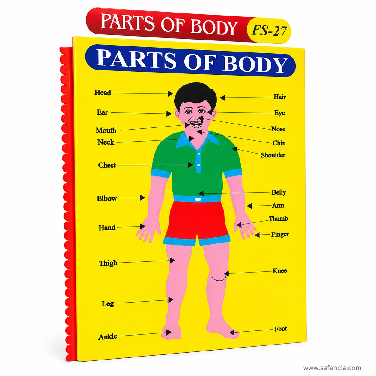 Angled view of the parts of body foam chart showing the thickness of the foam panel