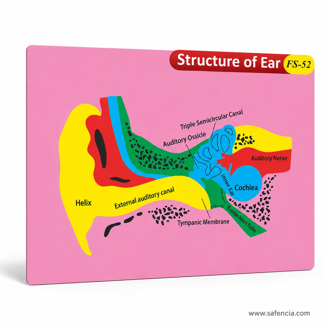 Structure of ear foam chart with its red banner and the FS-52 model code visible