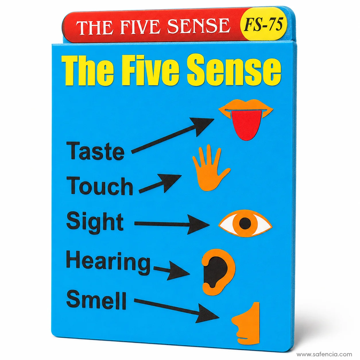Angled view of the five senses foam chart showing how far the symbols stand off the board