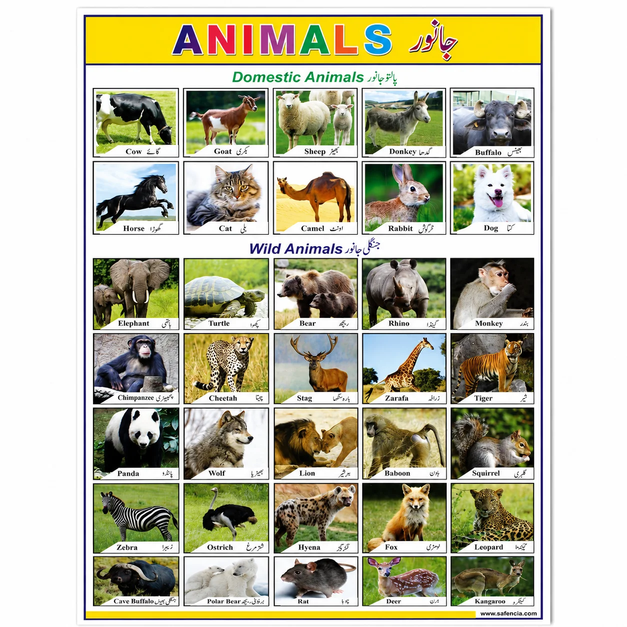 Flat view of the animals chart showing English and Urdu names under each photograph