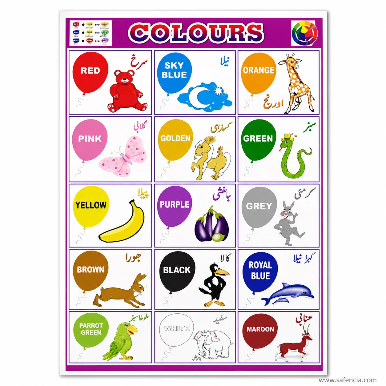 Flat view of the colours chart showing Urdu colour names and the outlined white panel