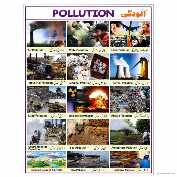 Pollution Wall Chart (15 Types in Photographs, English and Urdu)