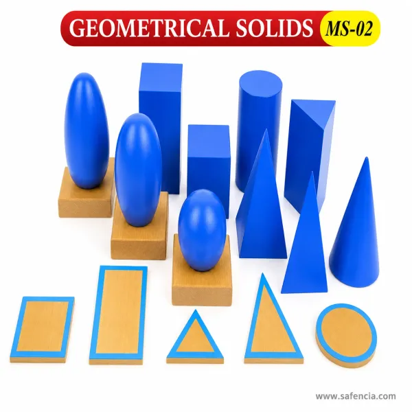 The Montessori Geometric Solids (Solid Hardwood 3D Shapes & Wooden Stands Set)