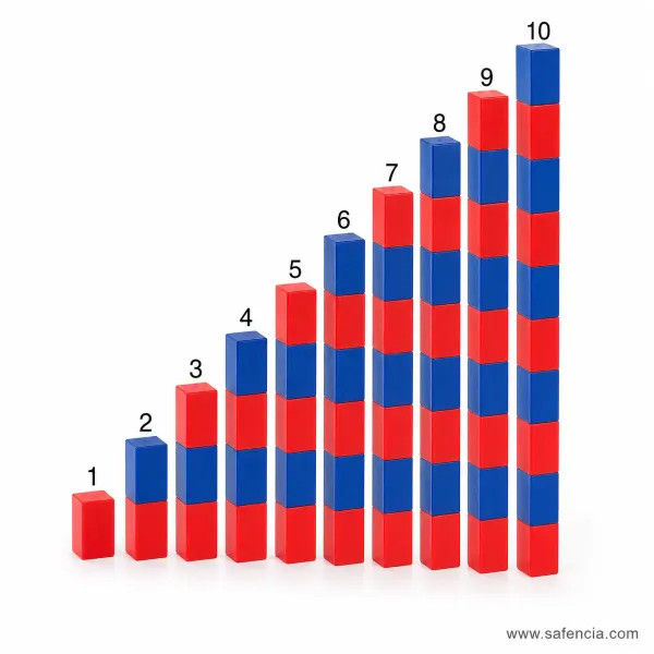 The Montessori Number Rods (Red and Blue Math Rods 1 to 10 for Preschool)