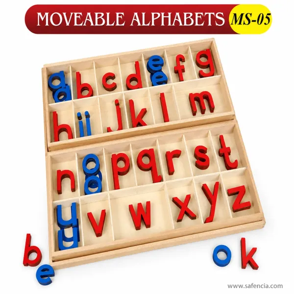 Montessori Large Wooden Movable Alphabet with Compartment Box (LMA Set)