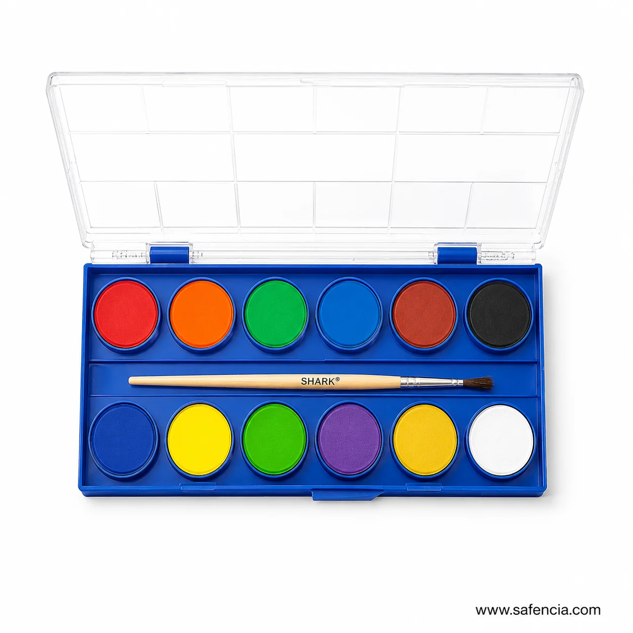Close view of the Shark water colour set with the wooden brush handle printed SHARK across it