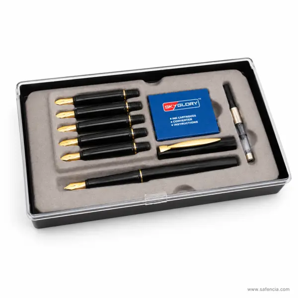 SkyGlory Calligraphy Fountain Pen Set with Five Nib Sections