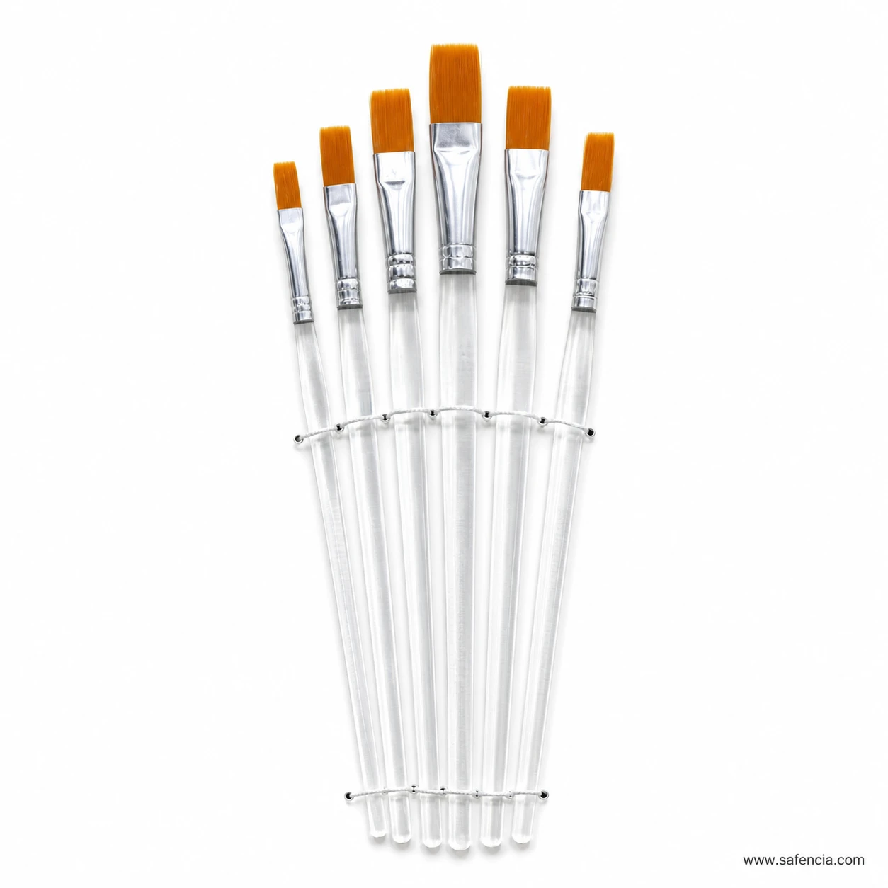 Clear handle flat brushes fanned out showing the golden synthetic square heads