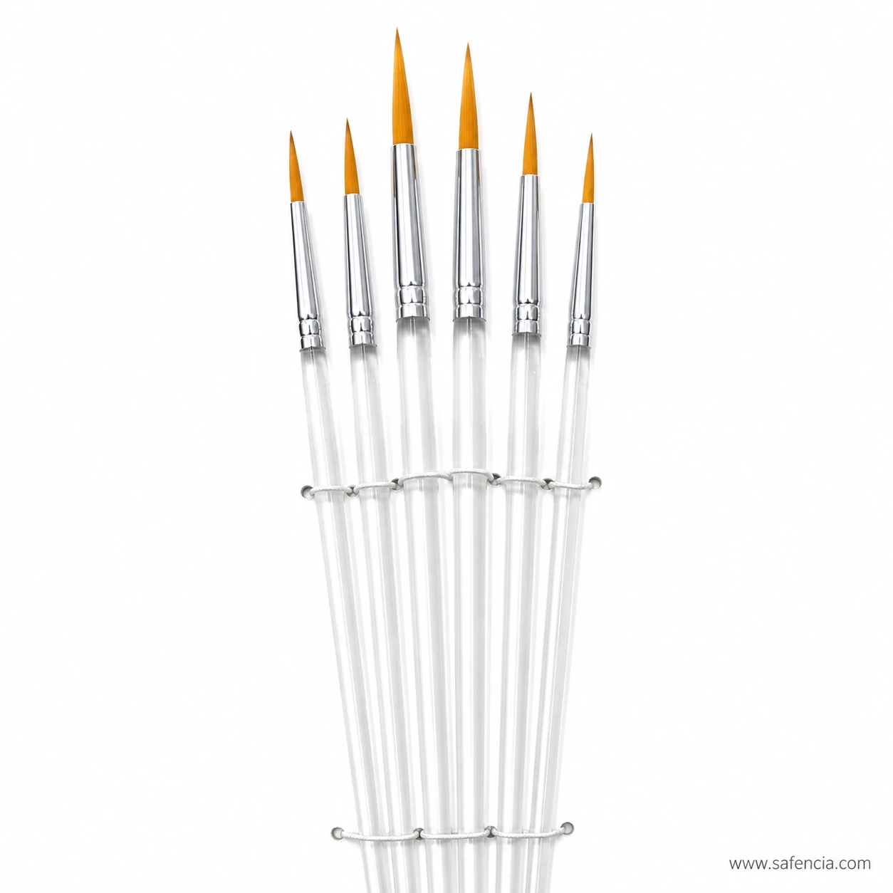 Clear handle round brushes fanned out showing the pointed golden heads