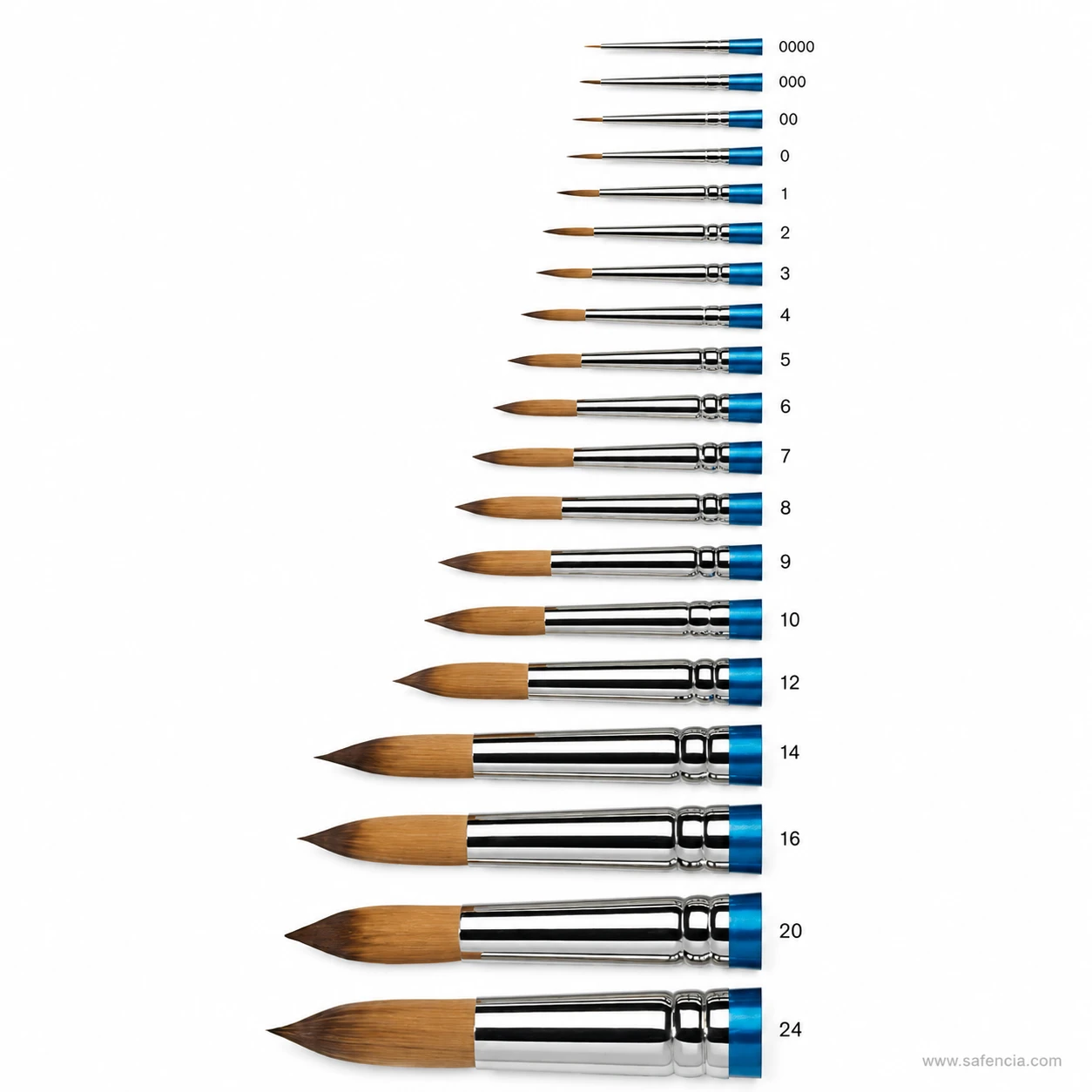Cotman Series 111 brushes showing the chrome ferrule and blue band detail