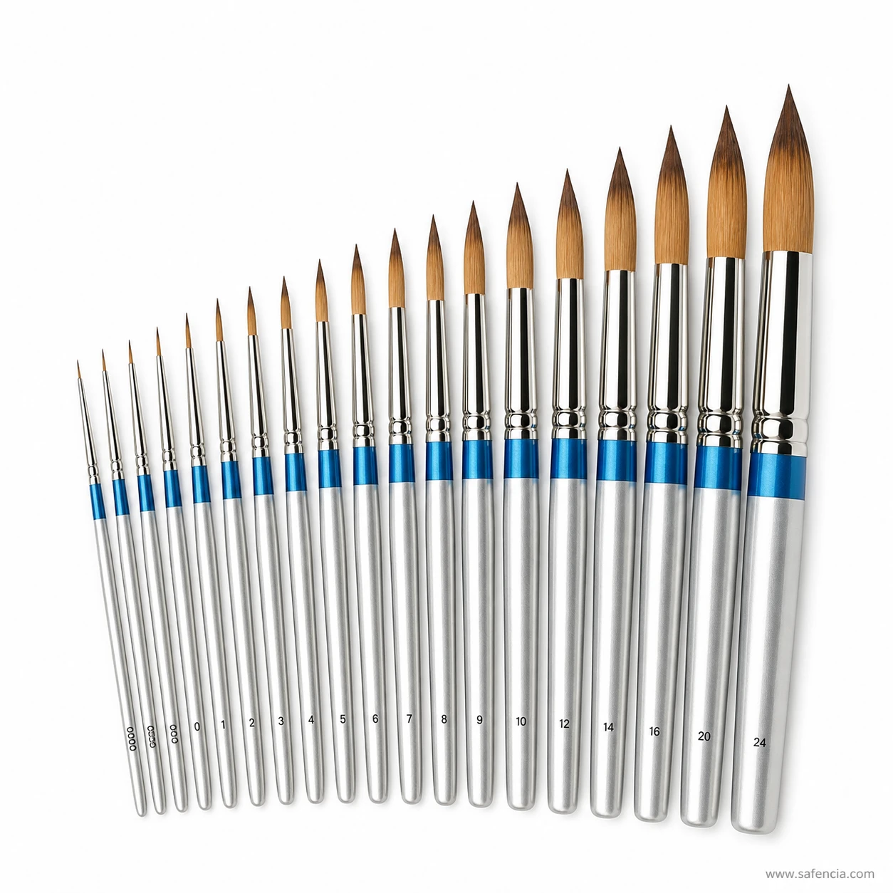 Cotman 111 round brushes fanned out showing how the points grow with size