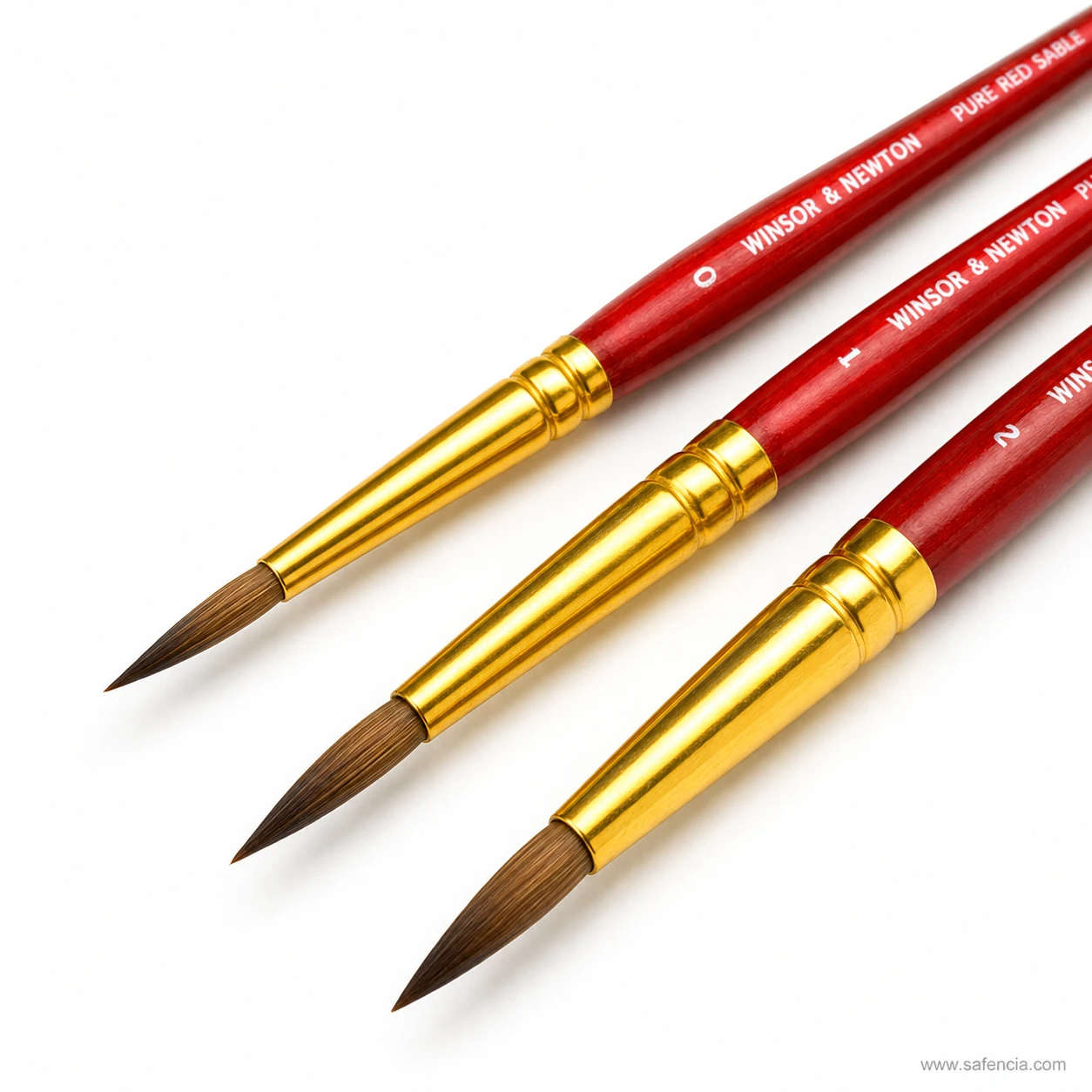 Close view of the pure red sable brush heads and gold-coloured ferrules
